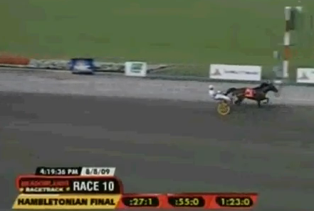 Muscle Hill 2009 Hambo $1,520,333 1:50.1