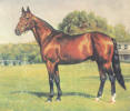 Adios - Standarbred Champion Horse Sire (CLICK FOR LARGE IMAGE)