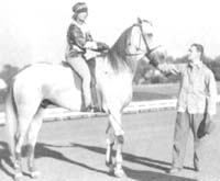 greyhound and frances