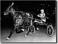 Albatross & Stanley Dancer win the 1971 Adios