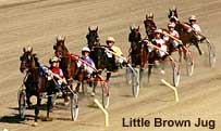 Little Brown Jug